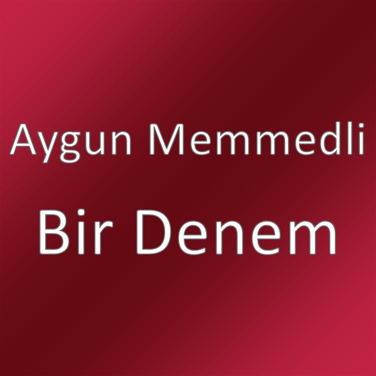 Aygun Memmedli's avatar image