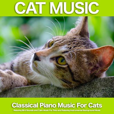 Venetian Gondolas - Mendelssohn - Nature Sounds and Classical Piano - Background Classical Music and Bird Sounds - Cat Music - Relaxing Music For Cats By Music For Pets, Cat Music, Music For Cats's cover