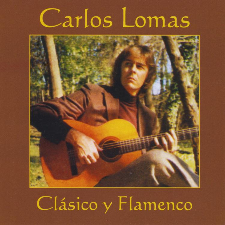 Carlos Lomas's avatar image