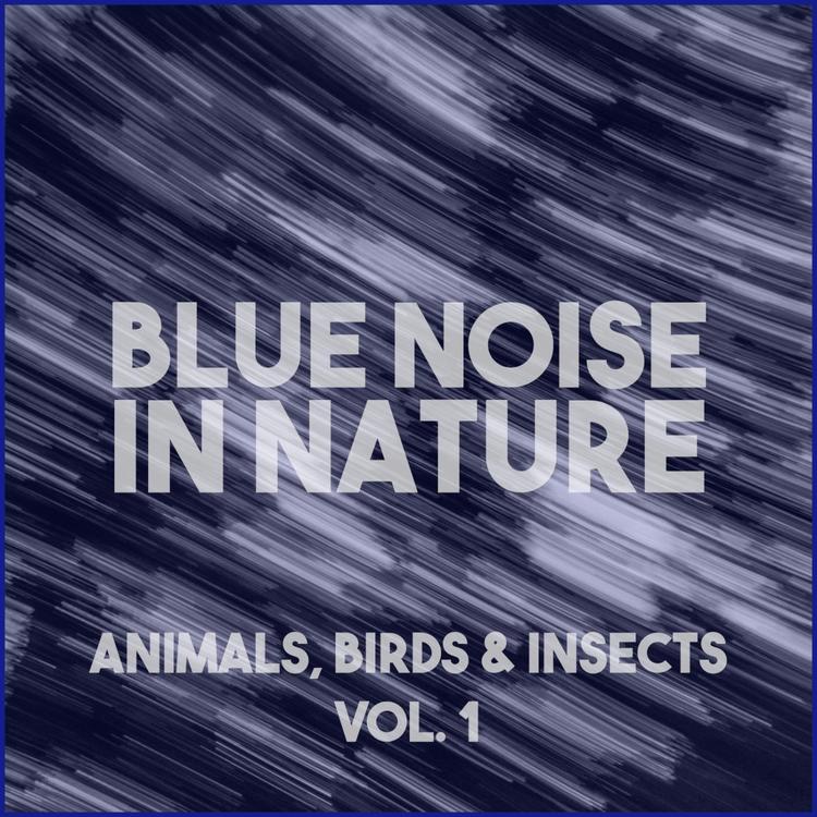 The Sound Of Blue Noise And Animals's avatar image
