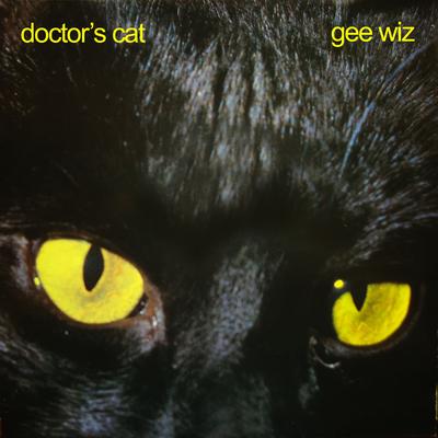 Doctor's Cat Melody's cover