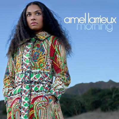 Unanswered Question By Amel Larrieux's cover