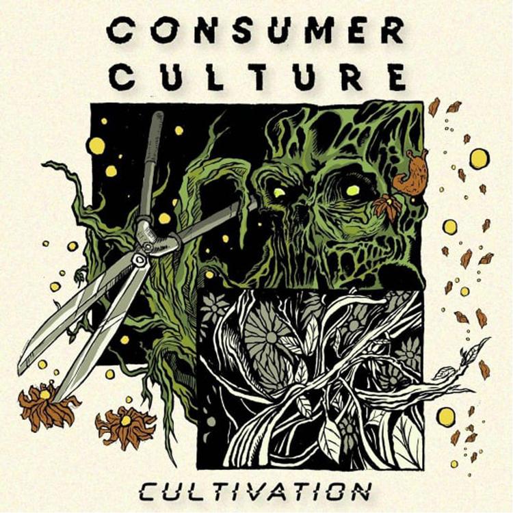 Consumer Culture's avatar image