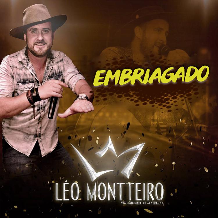 Léo Montteiro's avatar image