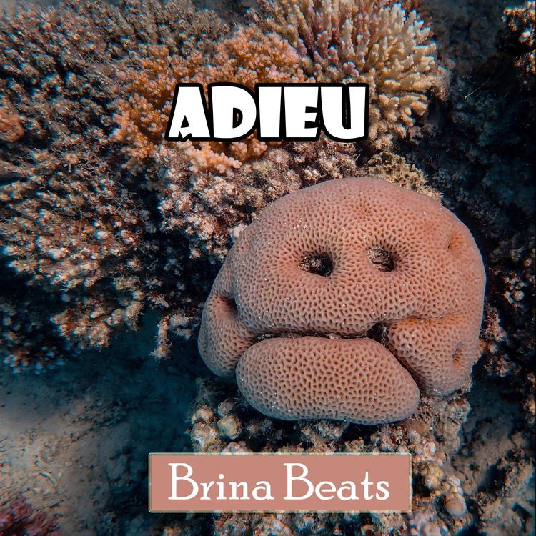 Brina Beats's avatar image