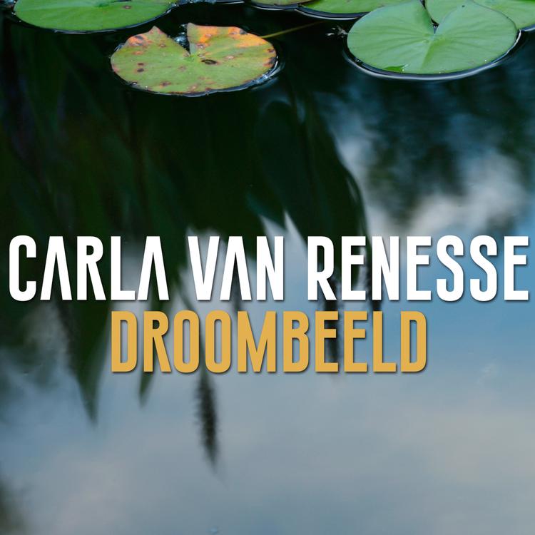 Carla Van Renesse's avatar image