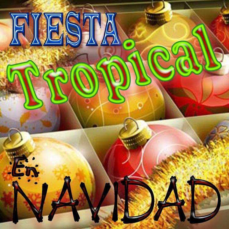 Fiesta tropical en navidad's avatar image