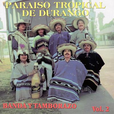 Banda y Tamborazo, vol 2's cover