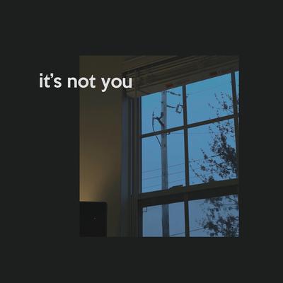 it's not you's cover