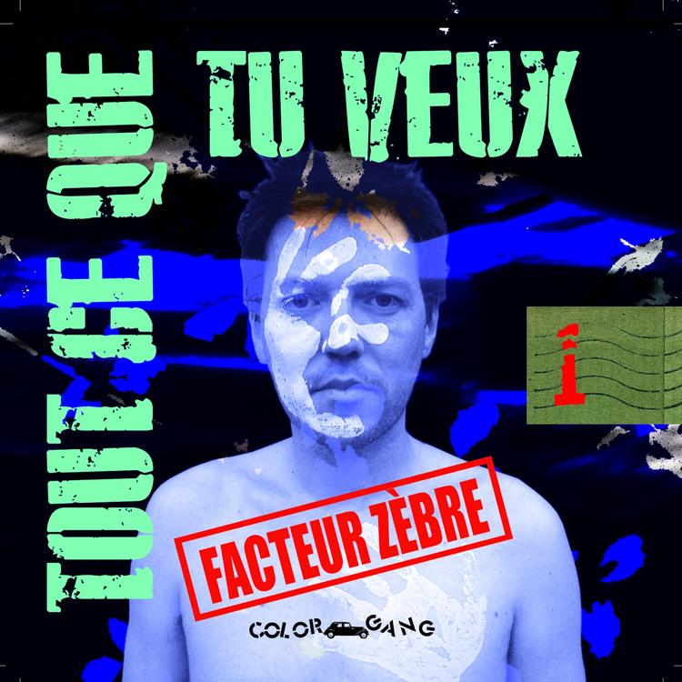 Facteur Zèbre's avatar image