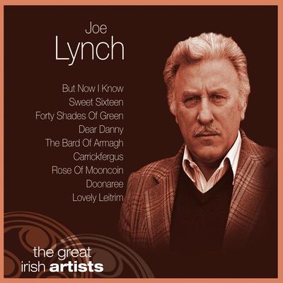 The Banks of My Own Lovely Lee By Joe Lynch's cover