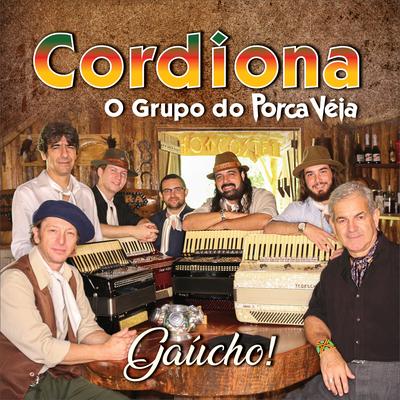 Gaúcho!'s cover