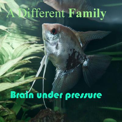 A Different Family's cover