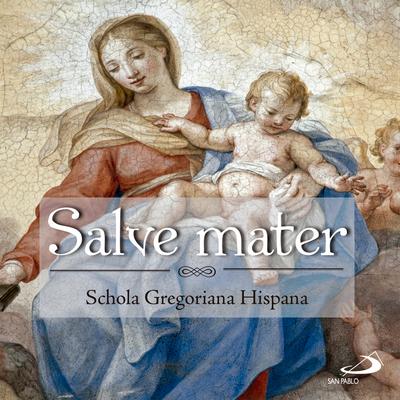 Salve Mater Misericordiae By Schola Gregoriana Hispana's cover