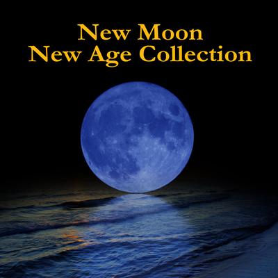 New Moon New Age Collection's cover