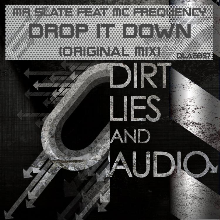 Mr Slate Ft MC Frequency's avatar image