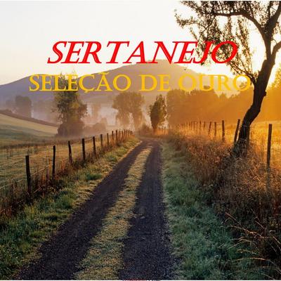 Sertanejo Seleção de Ouro's cover