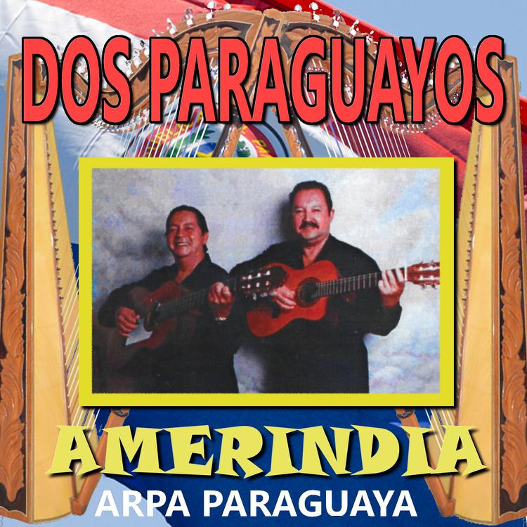 Dos Paraguayos's avatar image