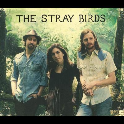 Dream in Blue By The Stray Birds's cover