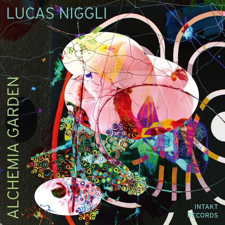 Lucas Niggli's avatar image