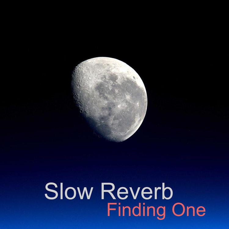 Slow Reverb's avatar image