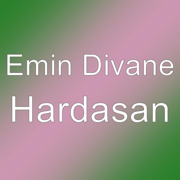 Emin Divane's avatar image