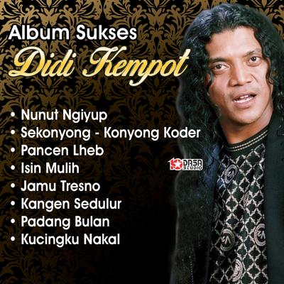 Album Sukses Didi Kempot - Nunut Ngiyup's cover