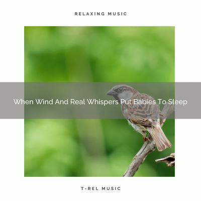 When Wind And Real Whispers Induce Sleep By Baby Sleep Music's cover