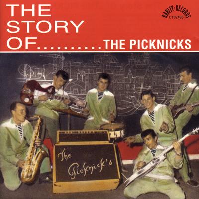 Murder (instr.) By The Picknicks's cover