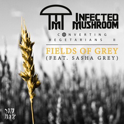 Fields of Grey (feat. Sasha Grey) (Au5 Remix) By Infected Mushroom, Sasha Grey's cover