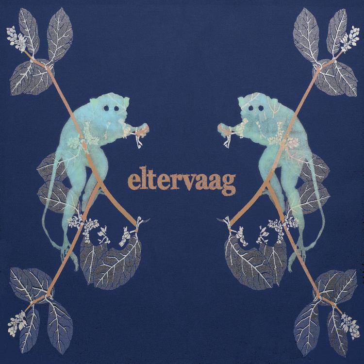 Eltervaag's avatar image