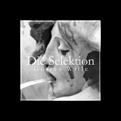 Gottes Wille By Die Selektion's cover