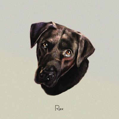 Rex By Vinyll's cover