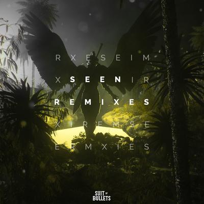 Seen (Paul Flint Remix)'s cover