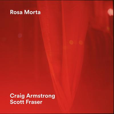 Dark Light By Craig Armstrong, Scott Fraser's cover