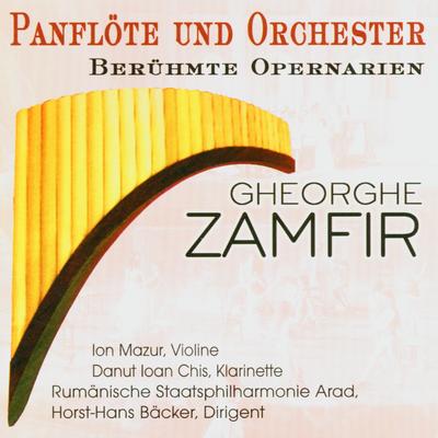 Panflöte und Orchester - Berühmte Opernarien's cover