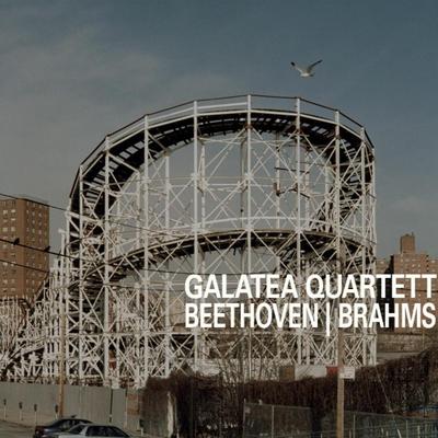 Beethoven op. 18/6 in B - Allegro con brio By Galatea Quartett's cover