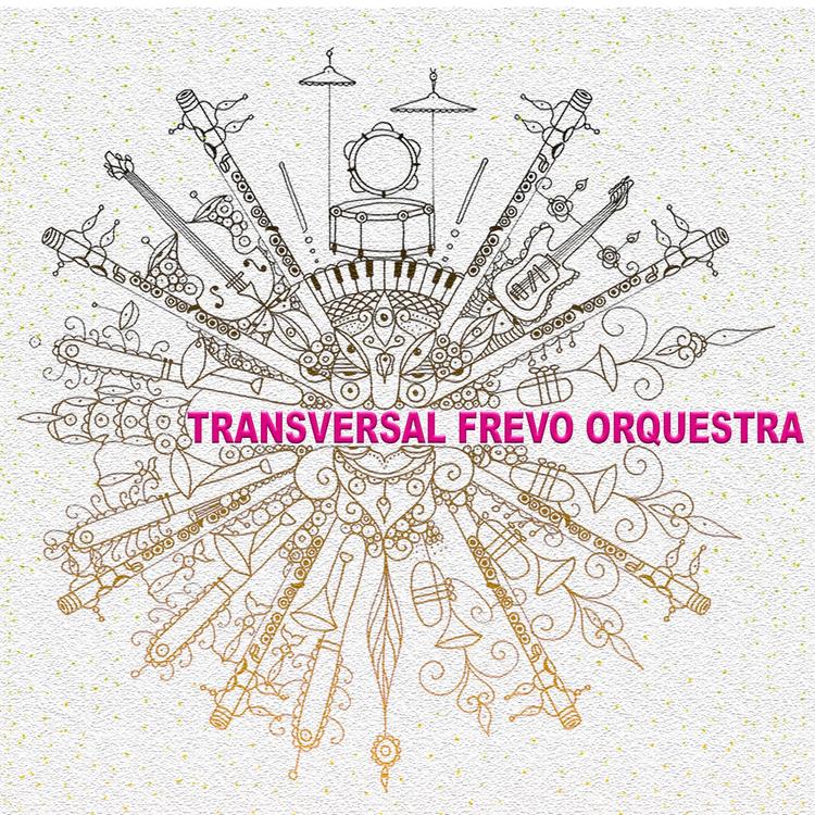 Transversal Frevo Orquestra's avatar image