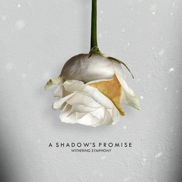 A Shadow's Promise's avatar image