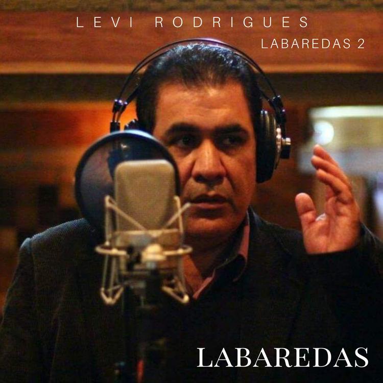 Levi Rodrigues - Labaredas 2's avatar image