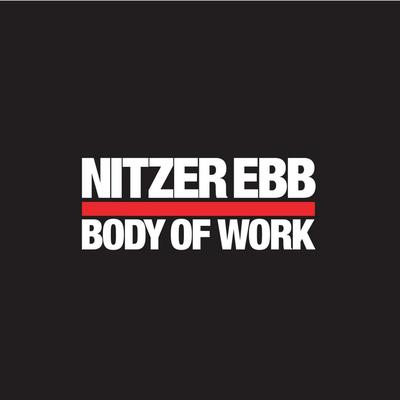 Isn't It Funny How Your Body Works (2006 Remaster) By Nitzer Ebb's cover