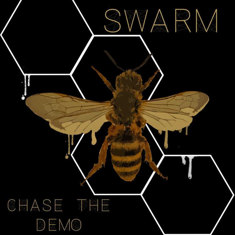 Chase the Demo's avatar image