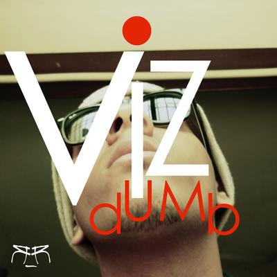 Vizdumb's cover