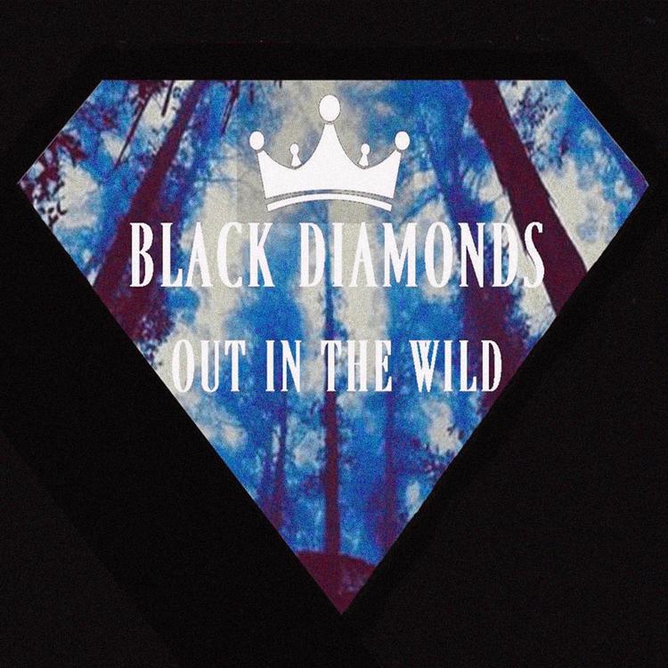 Black Diamonds's avatar image