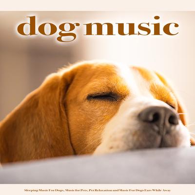 Dog Music Dreams By Calming Music for Dogs, Sleeping Music For Dogs, Dog Music Dreams's cover
