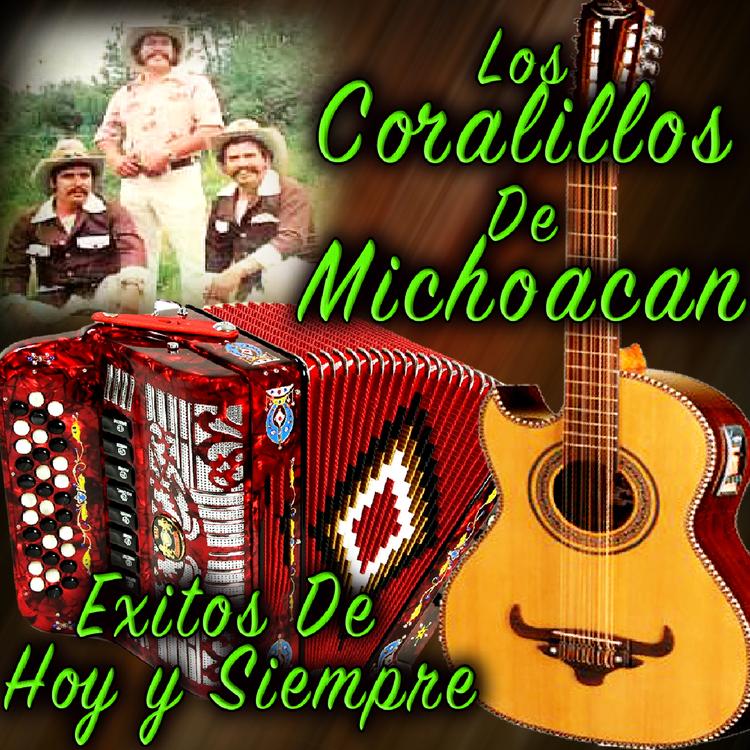 Los Corralillos de Michoacan's avatar image