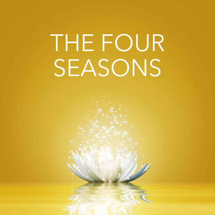 The Seasons Of Relaxation's avatar image