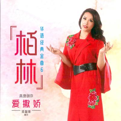 华语经典金曲 6's cover