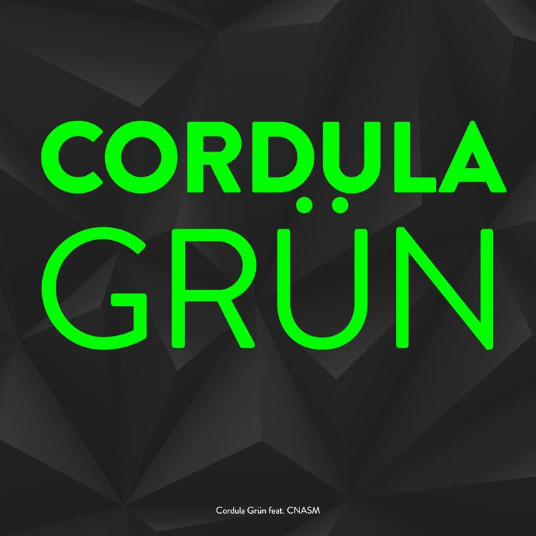 Cordula Grün's avatar image