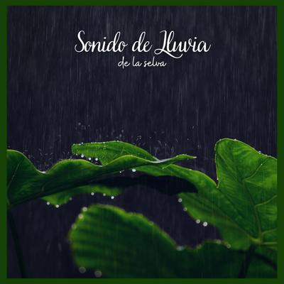 Sonidos de la selva's cover